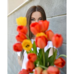 Applique T-Shirt Applique T-Shirt